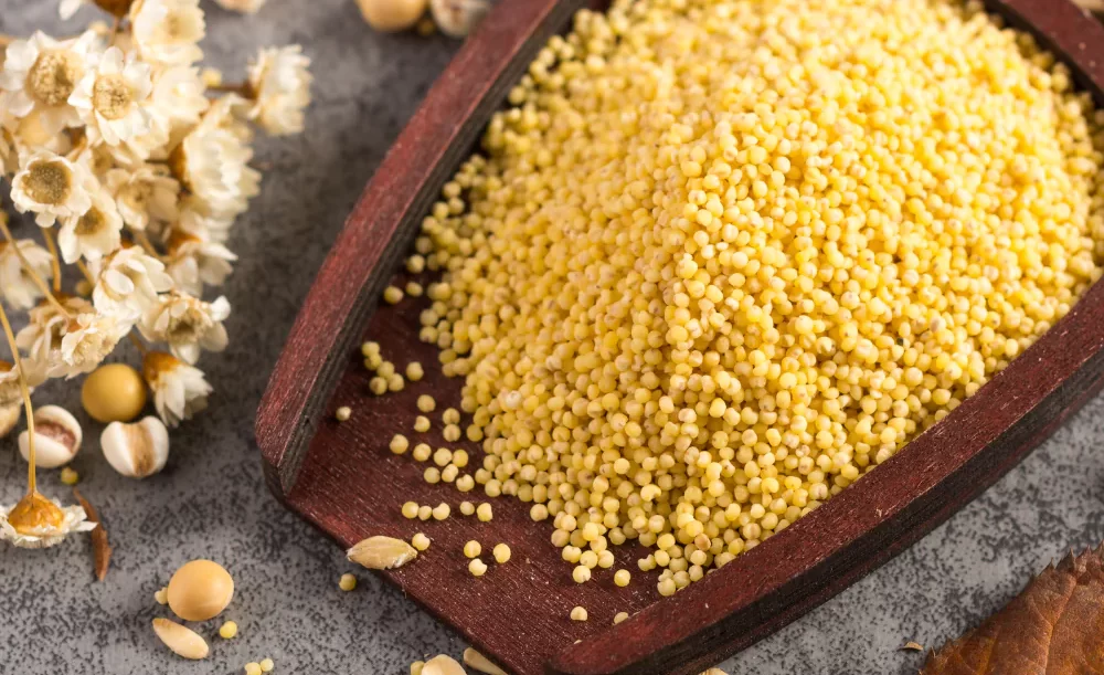 Uses of Kodo Millet and its benefits
